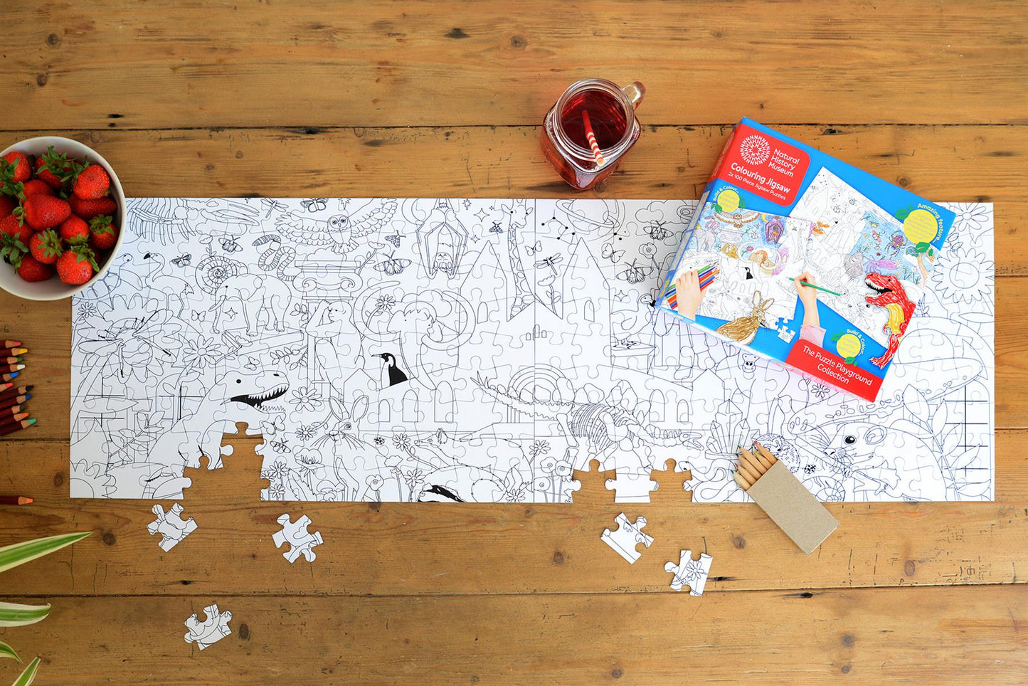 Natural History Museum Colouring Jigsaw 2 x 100 Piece Puzzle Set