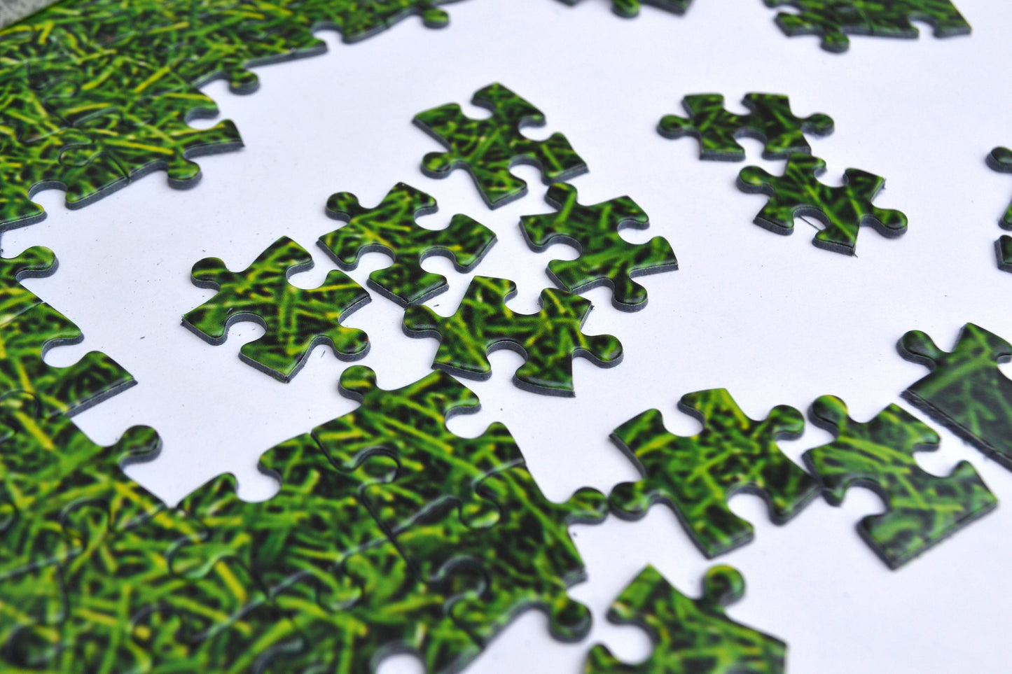 Natural Grass - Impuzzible No.7 - 1000 Piece Jigsaw Puzzle